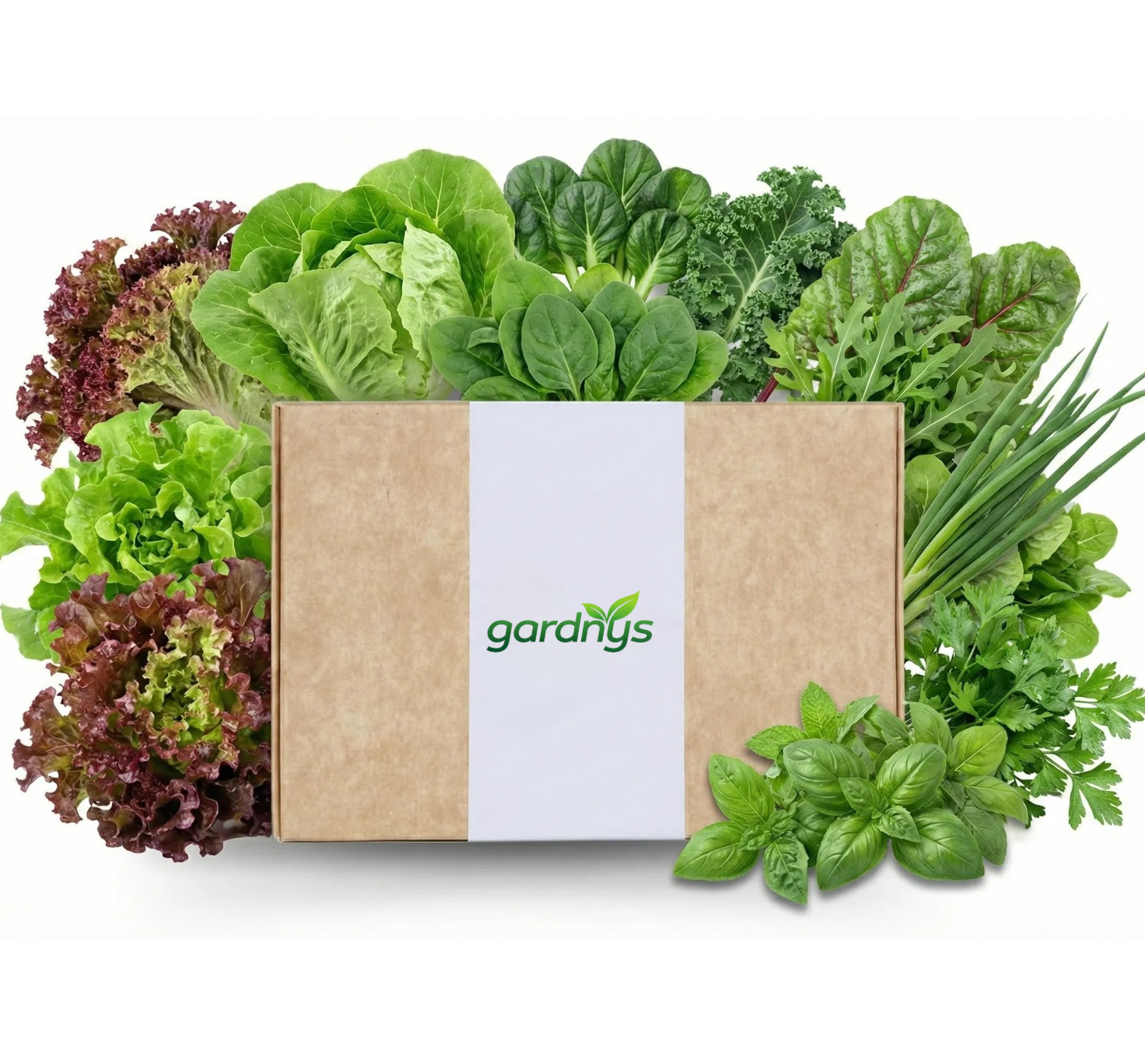 Gardnys Yeşil Sevenler Bitki Kiti