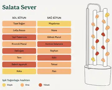 Gardnys Yeşil Sevenler Bitki Kiti