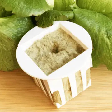 Gardnys Yeşil Sevenler Bitki Kiti